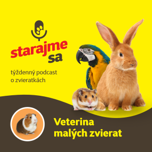 Drobné cicavce: Veterina malých zvierat