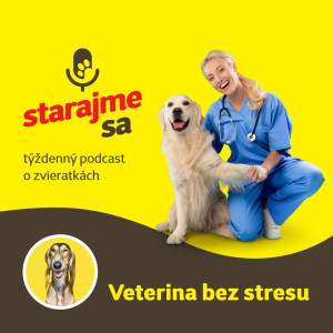 Psy: Veterina bez stresu