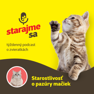 Mačky: Starostlivosť o pazúry mačiek