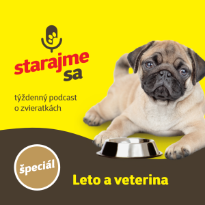 Špeciál: Leto a veterina