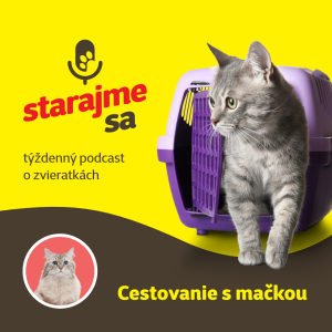 Mačky: Cestovanie s mačkou