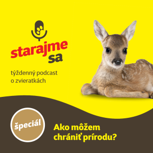 Špeciál: Ako môžem chrániť prírodu?