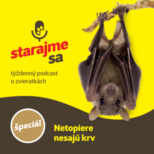 Špeciál: Netopiere nesajú krv