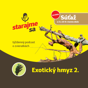 Teraristika: Exotický hmyz 2.