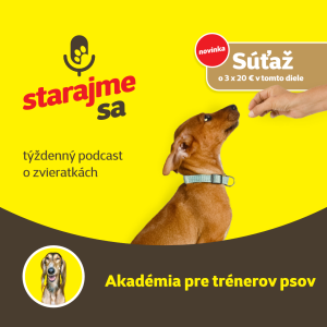 Psy: Akadémia pre trenérov psov