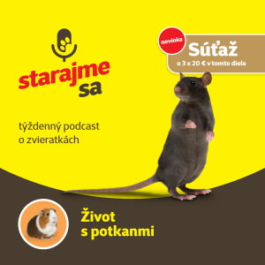Drobné cicavce: Život s potkanmi