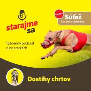 Psy: Dostihy chrtov