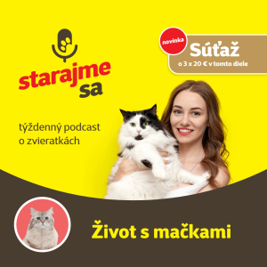 Mačky: Život s mačkami
