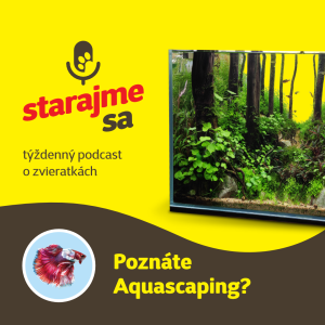 Akvaristika: Poznáte Aquascaping?