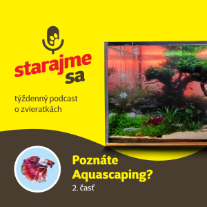 Akvaristika: Aquascaping 2. časť