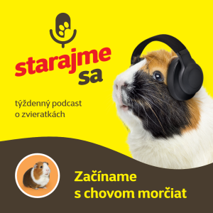 Drobné cicavce: Začíname s chovom morčiat