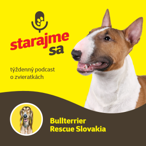 Psy: Bullterrier Rescue Slovakia