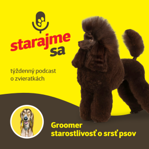 Psy: Groomer - starostlivosť o srsť psov