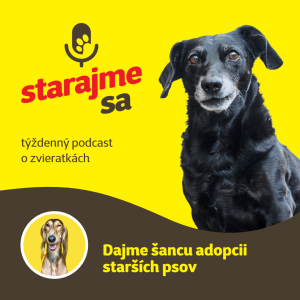 Psy: Dajme šancu adopcii starších psov