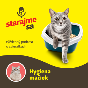 Mačky: Hygiena mačiek