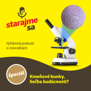 Špeciál: Kmeňové bunky - liečba budúcnosti?