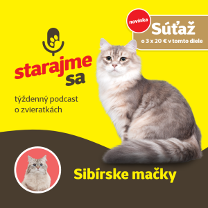 Mačky: Sibírske mačky