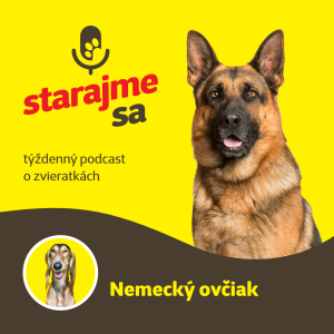 Psy: Nemecký ovčiak