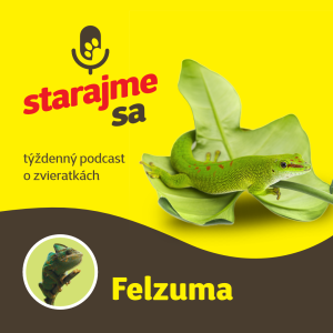 Teraristika: Felzuma