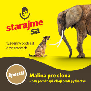 Špeciál: Malina pre slona - psy pomáhajú v boji proti pytliactvu