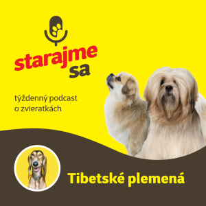 Psy: Tibetské plemená - Lhasa apso