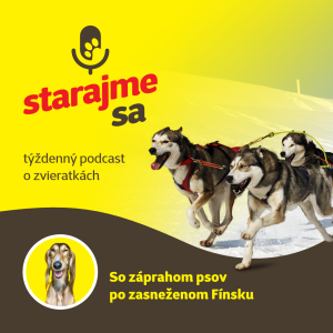 Psy: So záprahom psov po zasneženom Fínsku