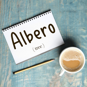 Italian Word of the Day: Albero (tree)