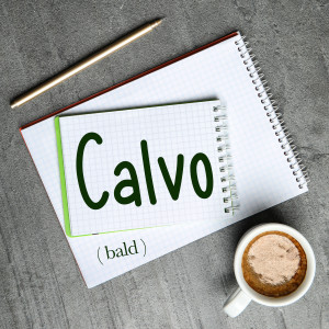 Italian Word of the Day: Calvo (bald)