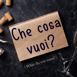 Italian Phrase: Che cosa vuoi? (What do you want?)