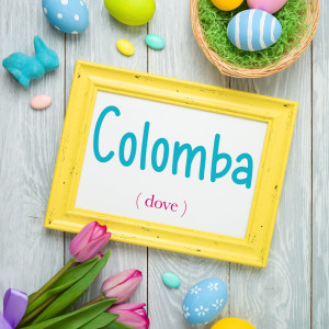Italian Word of the Day: Colomba (dove)
