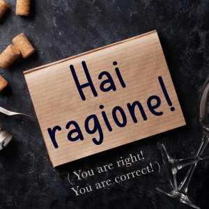 Italian Phrase: Hai ragione! (You are right! You are correct!)