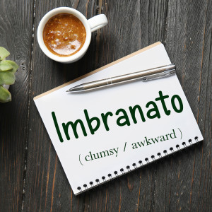 Italian Word of the Day: Imbranato (clumsy / awkward)