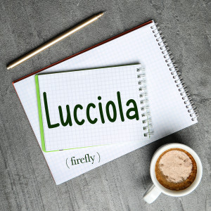 Italian Word of the Day: Lucciola (firefly)