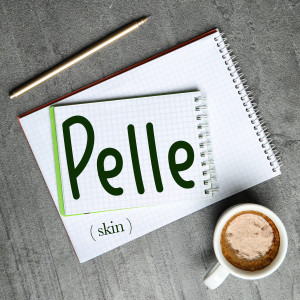 Italian Word of the Day: Pelle (skin)