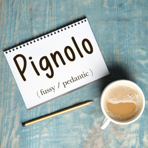 Italian Word of the Day: Pignolo (fussy / pedantic)