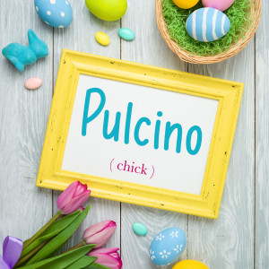 Italian Word of the Day: Pulcino (chick)