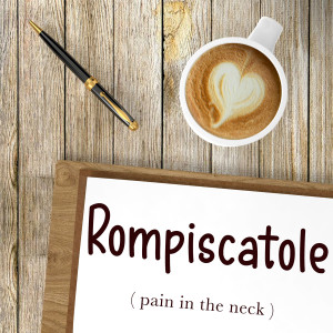 Italian Word of the Day: Rompiscatole (pain in the neck)