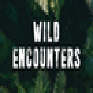  Wild Encounters - Matthew 21 33 - 45 - Enoch Liao