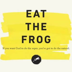 Win the Day, part 3 ”Eat The Frog”