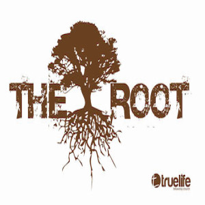 The Root – Guilt