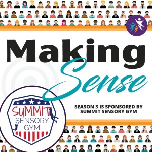 Making Sense Season 3 is Sponsored by Summit Sensory Gym