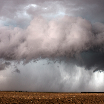 The two most unpredictable things in farming: markets and weather.