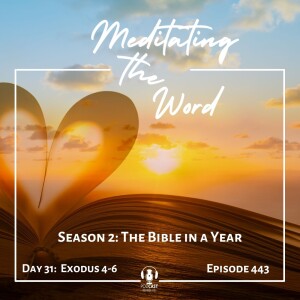 Day 31: Exodus 4-6