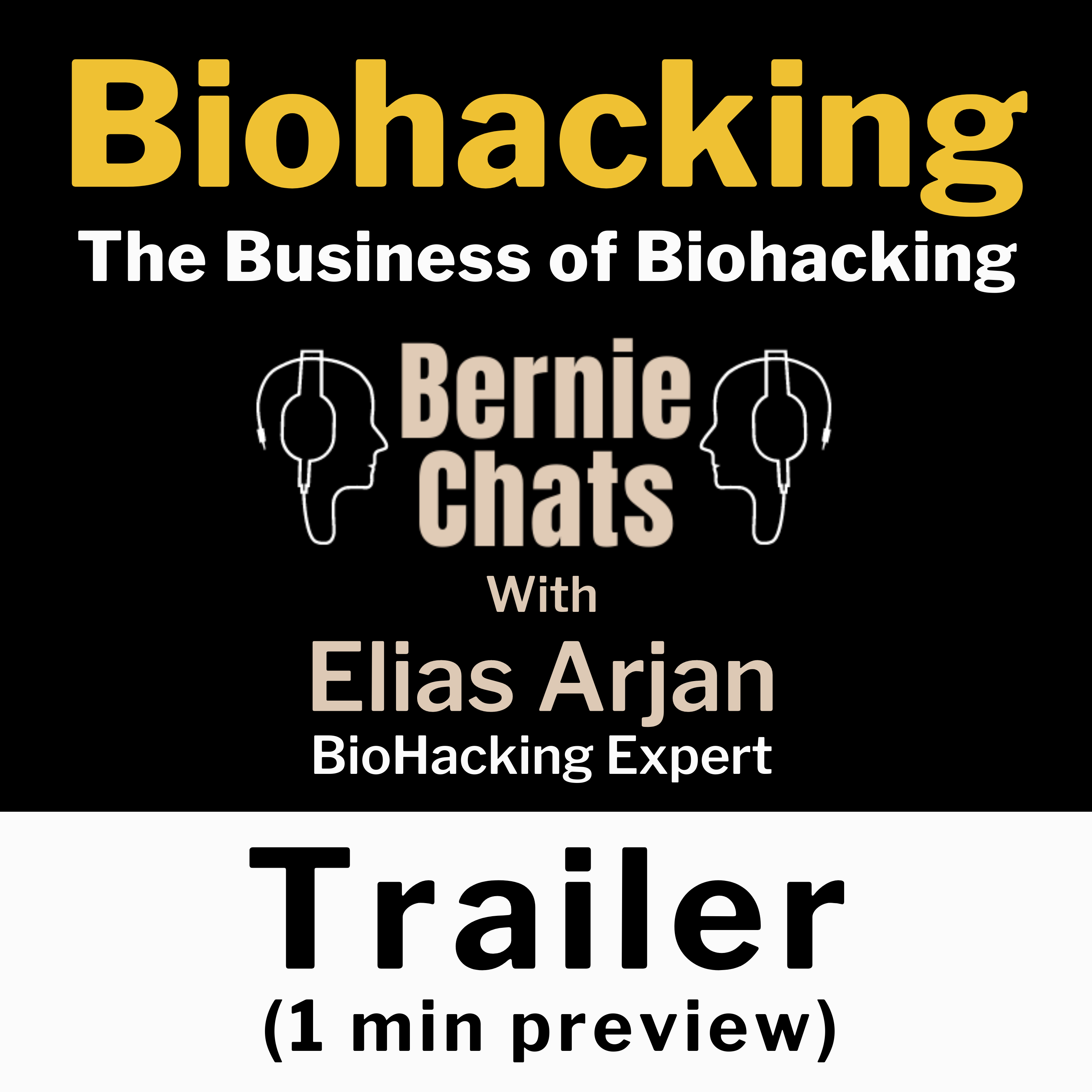 Bernie Chats