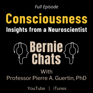 Consciousness - Meaning of Consciousness & How Your Brain Works - Neuroscientist Dr. Pierre Guertin