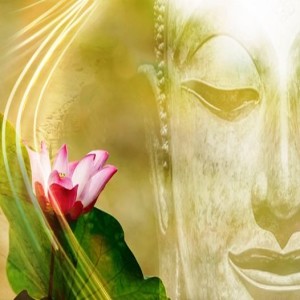 Sacred Love Lessons: 11:11 Trust The Process
