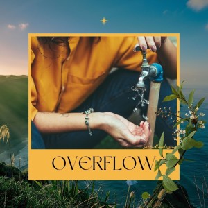 SLL S3: Living In The Overflow
