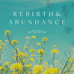 SLL S3: Rebirth and Abundance