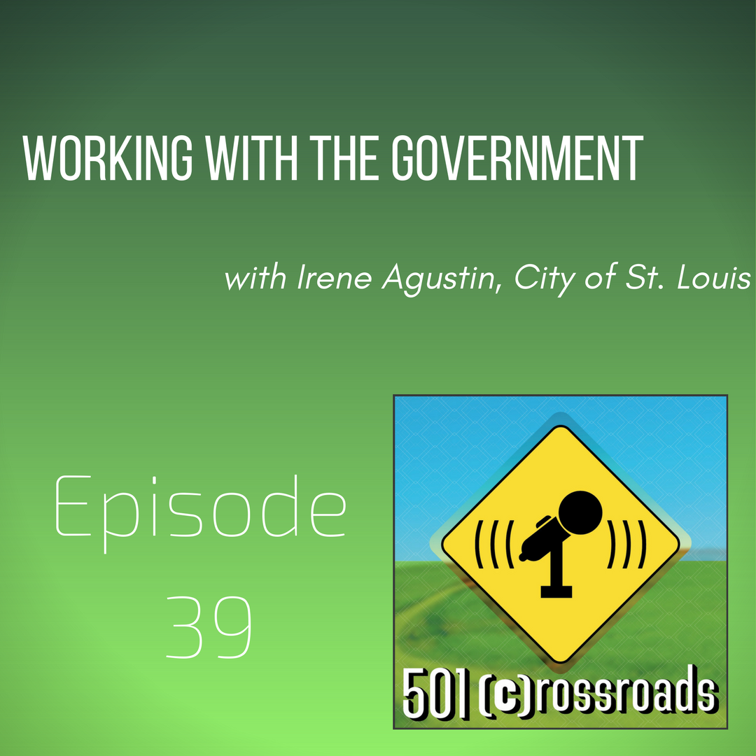 Working with the Government with Irene Agustin