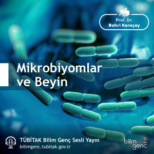 Mikrobiyomlar ve Beyin